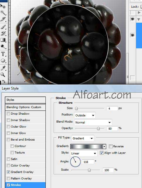 blackberry cell phone