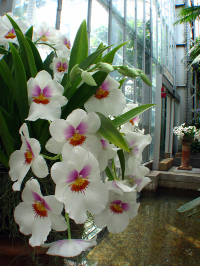 Awesome digital bokeh effect in Photoshop