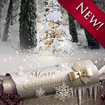 Fairy Christmas night