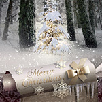 Fairy Christmas night