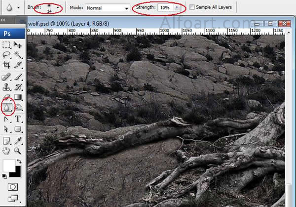 Dark landscape tutorial, mysterious, horror pictures and images, mystic, night, Ghost dog, Photo manipulations, digital art, collage, treasure, Mysterious tree