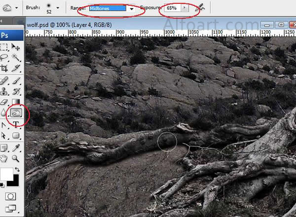 Dark landscape tutorial, mysterious, horror pictures and images, mystic, night, Ghost dog, Photo manipulations, digital art, collage, treasure, Mysterious tree
