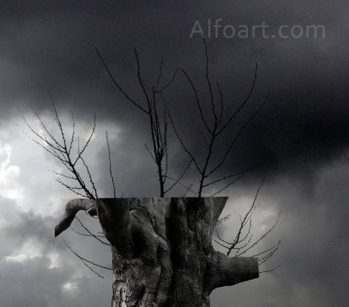 Dark landscape tutorial, mysterious, horror pictures and images, mystic, night, Ghost dog, Photo manipulations, digital art, collage, treasure, Mysterious tree