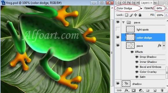 Shiny and glossy and funny Frog