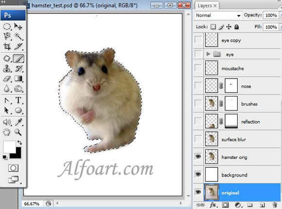 Cartoon Character Creation