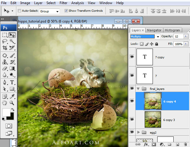 hippo, photoshop, nest, egg, shell, flying hippo, cute, baby, wings, hippopotamus, feathers