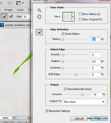 Cute baby panda & Bamboo text effect Pandas and realistic fresh and green bamboo plant illustration