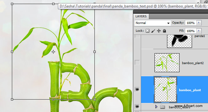 Cute baby panda & Bamboo text effect Pandas and realistic fresh and green bamboo plant illustration