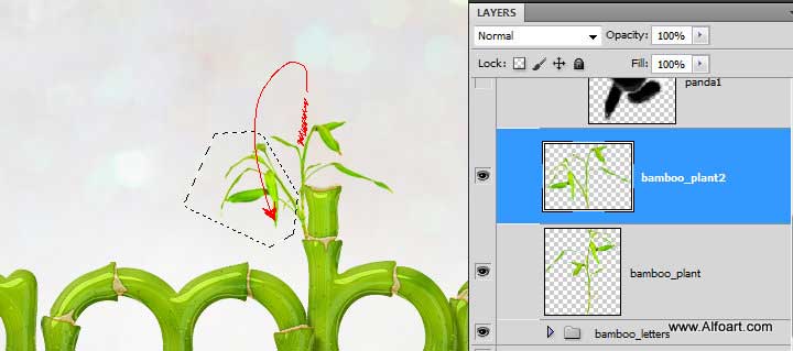 Cute baby panda & Bamboo text effect Pandas and realistic fresh and green bamboo plant illustration