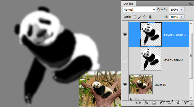 Cute baby panda & Bamboo text effect Pandas and realistic fresh and green bamboo plant illustration