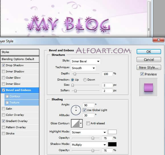 Pink Blog, Website Design