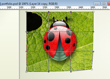 Glossy, green stylish design for your company in adobe photoshop. Slik and shiny glass buttons