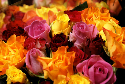 Awesome digital Roses bouquet splash effect in Photoshop