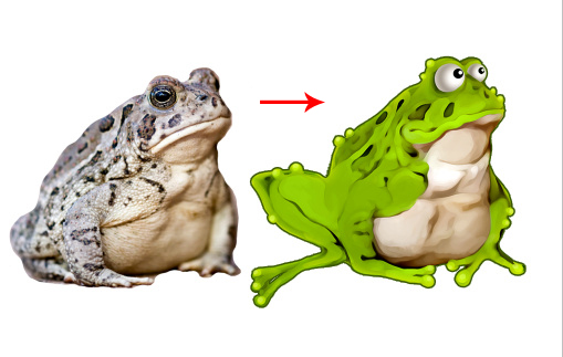 Create funny toad, frog cartoon illustration from the photo manipulation  with Photoshop tools